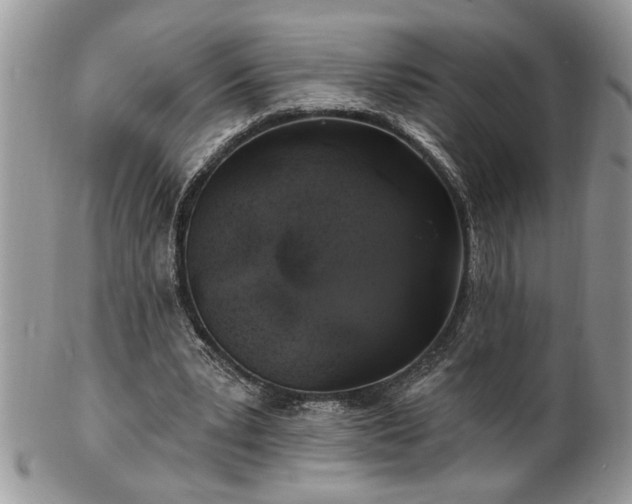 X0000100390391200806130957