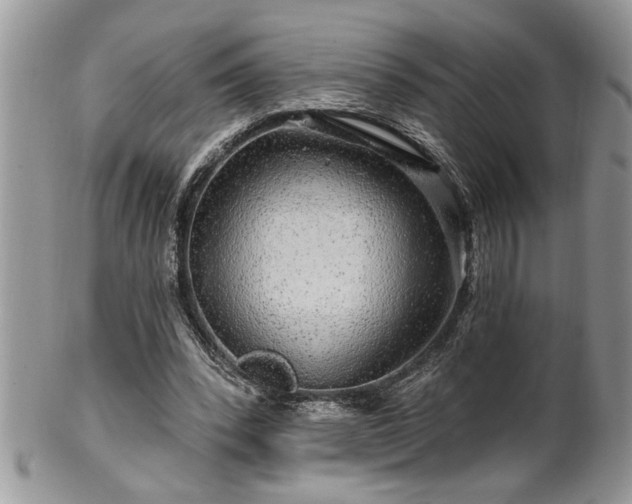 X0000100390392200806130957