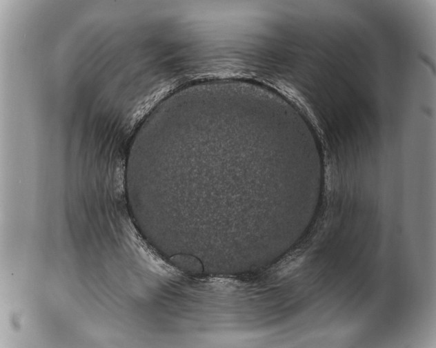 X0000100390393200806130956