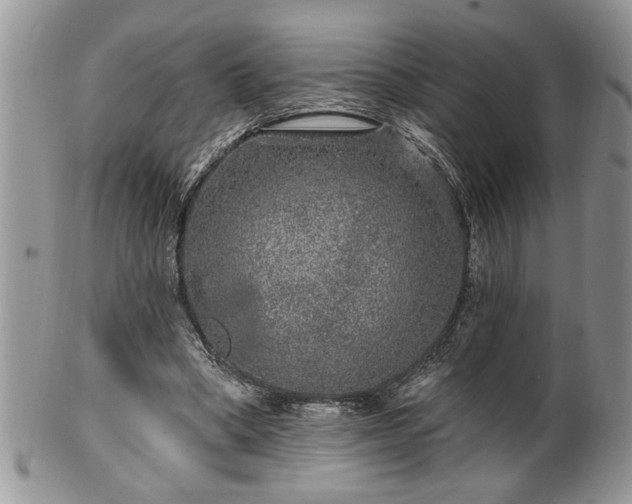 X0000100390394200806130956