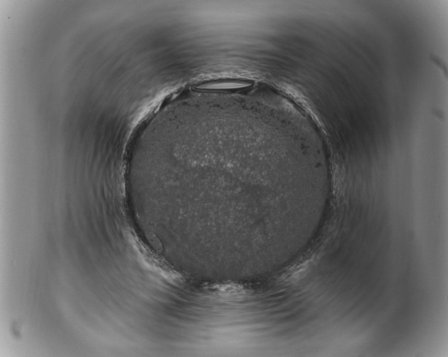 X0000100390395200806130956