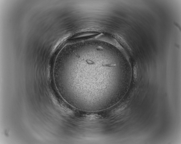 X0000100390396200806130956