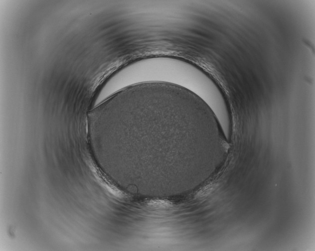 X0000100390397200806130956