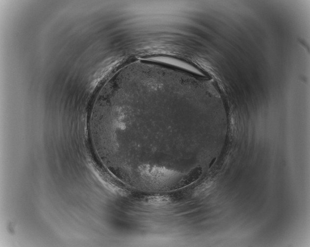 X0000100390398200806130956