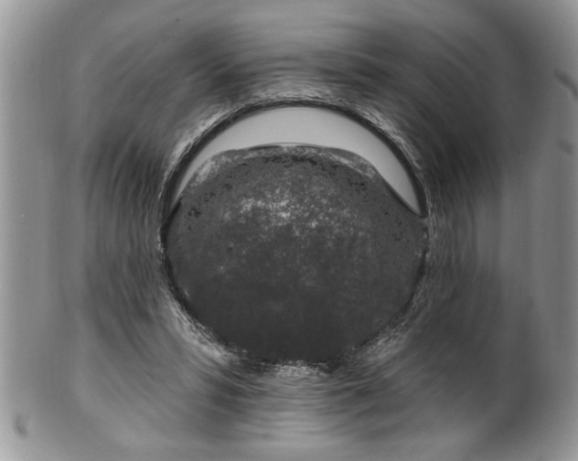 X0000100390399200806130956