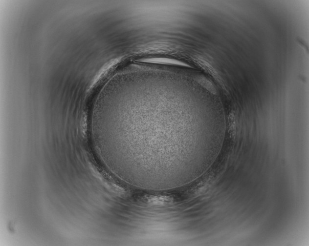 X0000100390400200806130956