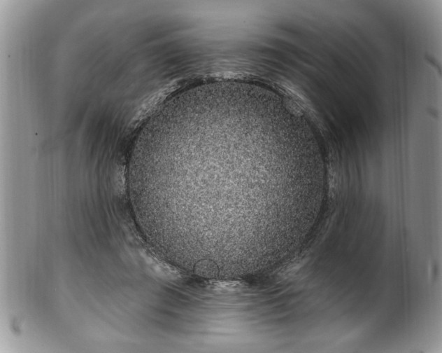 X0000100390401200806130956