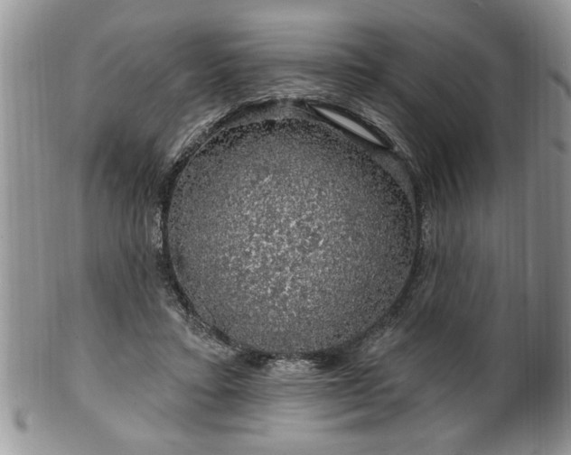 X0000100390403200806130956