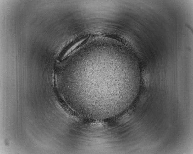 X0000100390404200806130956