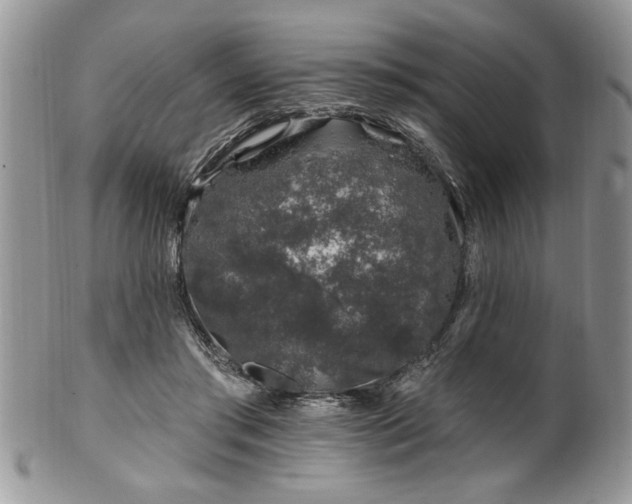 X0000100390405200806130956