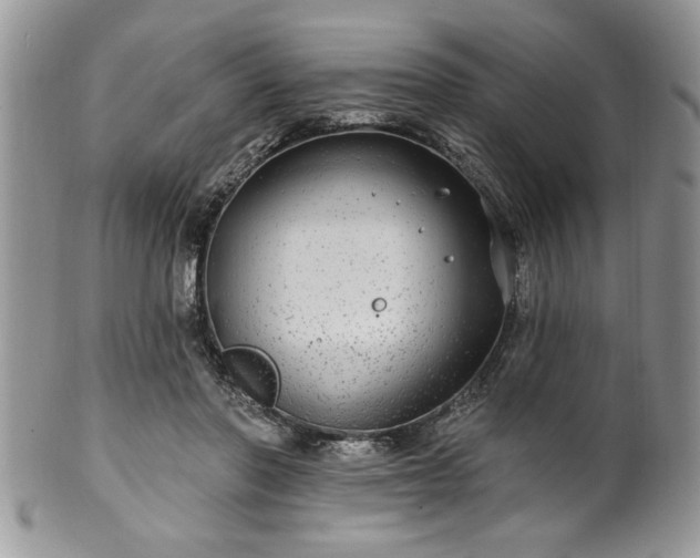 X0000100390406200806130956