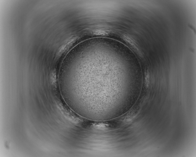 X0000100390407200806130956