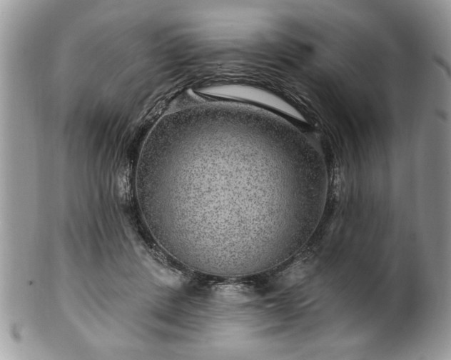 X0000100390408200806130956