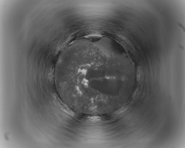 X0000100390409200806130956