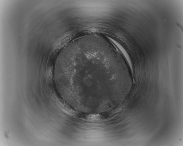 X0000100390410200806130956