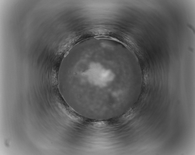 X0000100390411200806130956