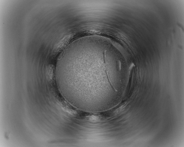 X0000100390412200806130956