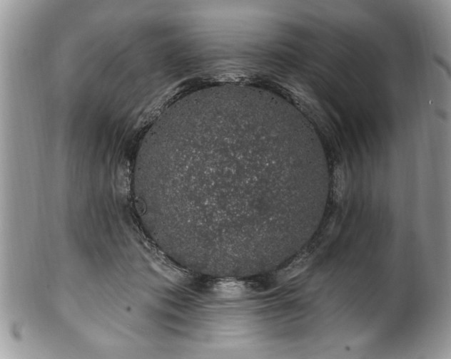 X0000100390413200806130956