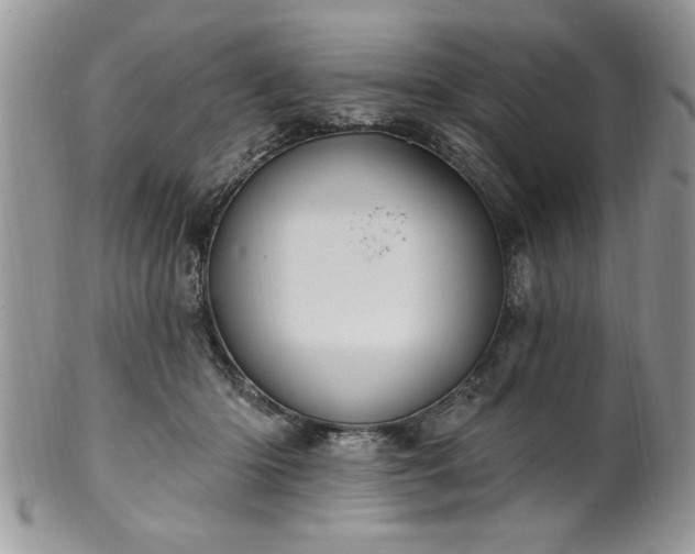 X0000100390414200806130956