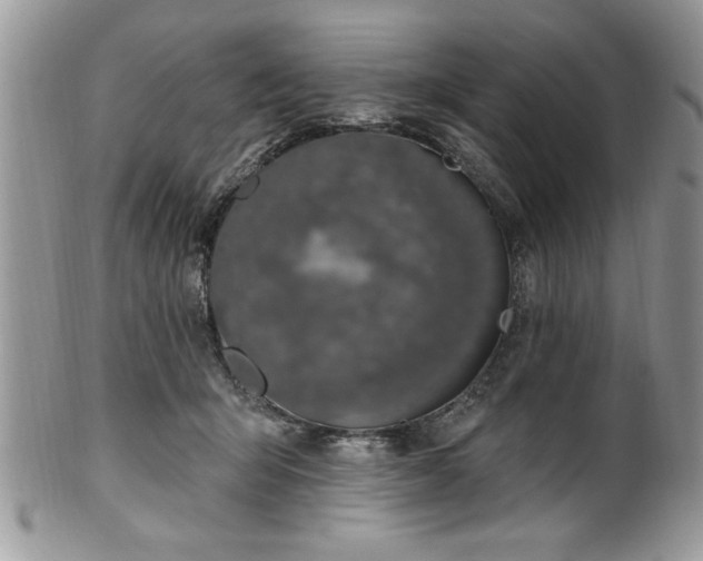 X0000100390415200806130956