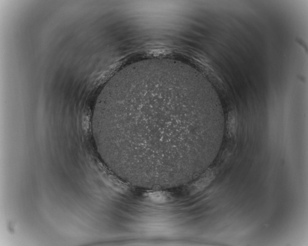 X0000100390417200806130956