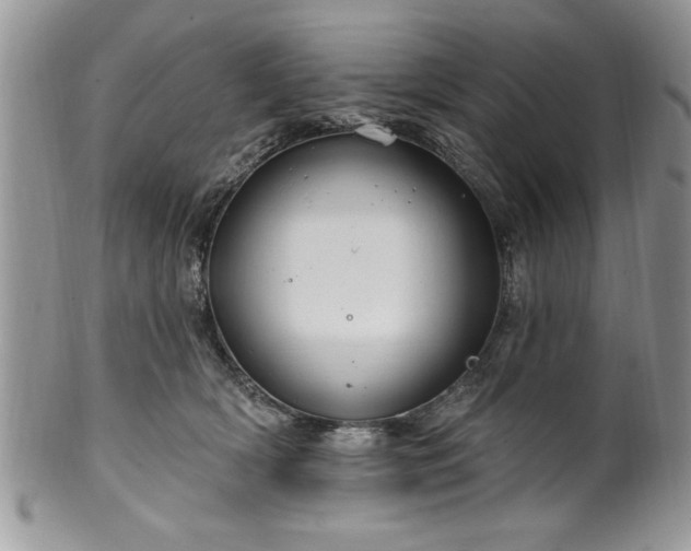 X0000100390418200806130956