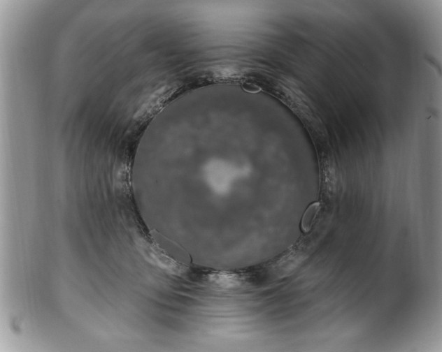 X0000100390419200806130956