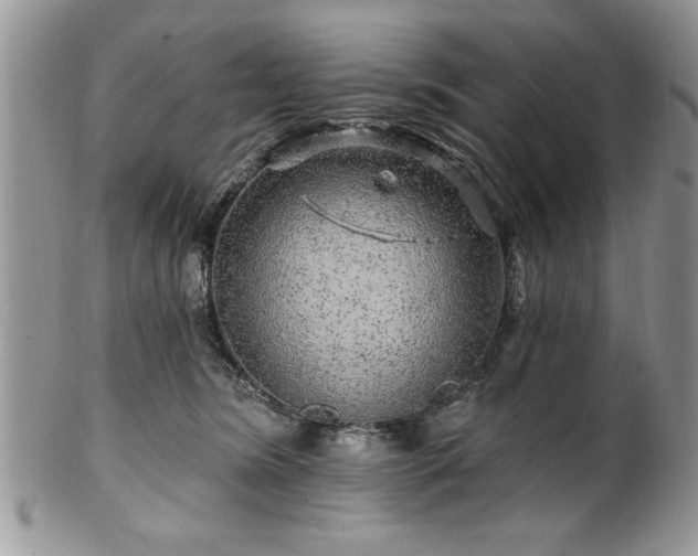 X0000100390420200806130956