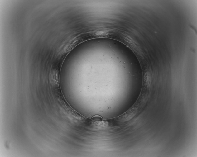 X0000100390421200806130956