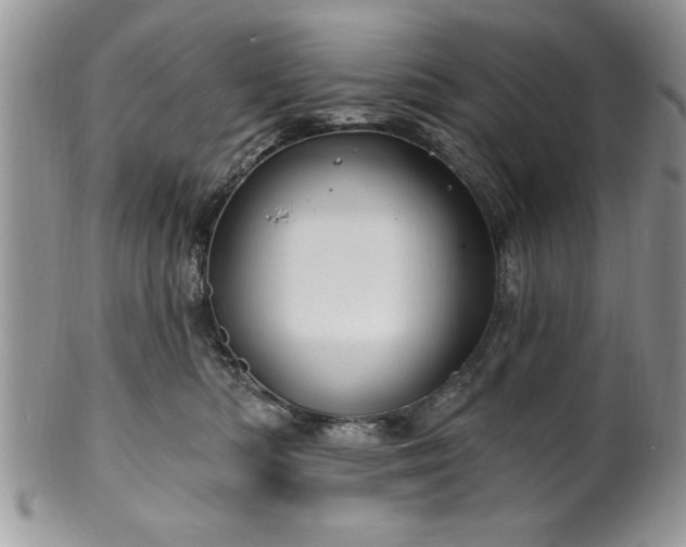 X0000100390422200806130956