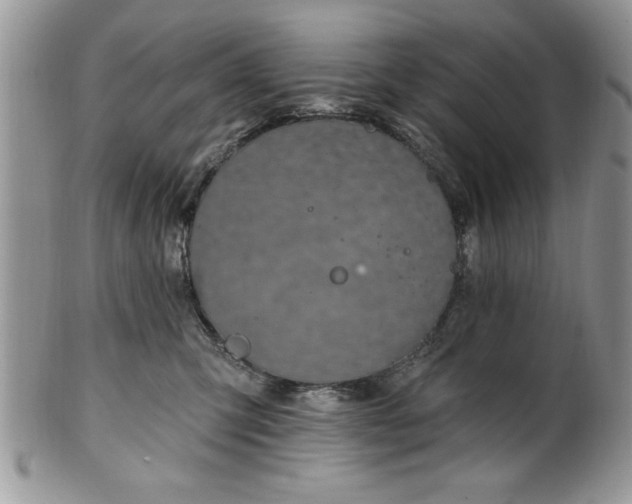 X0000100390423200806130956