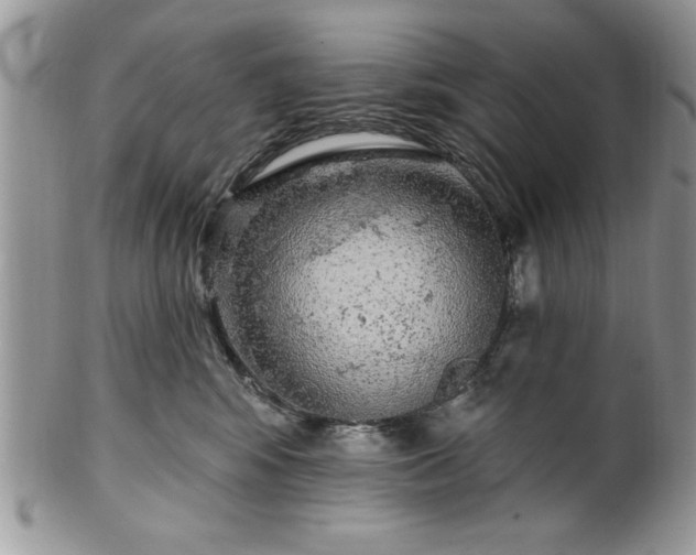 X0000100390424200806130956