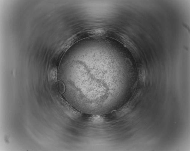 X0000100390425200806130956