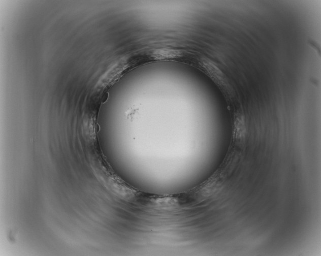 X0000100390426200806130956