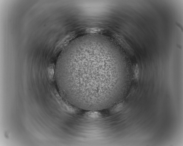 X0000100390427200806130956