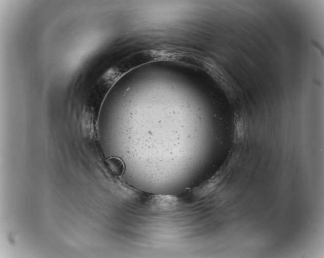 X0000100390429200806130956