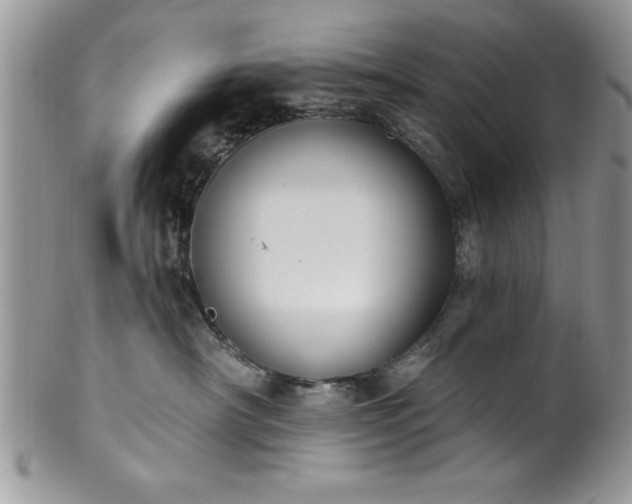 X0000100390430200806130956