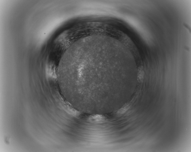 X0000100390431200806130956