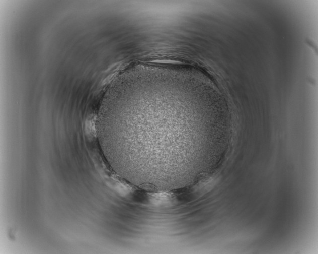 X0000100390432200806130956