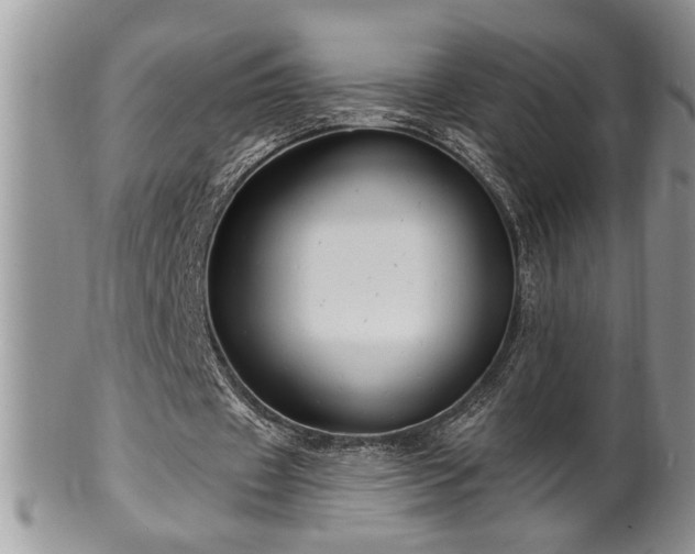 X0000100390433200806130955