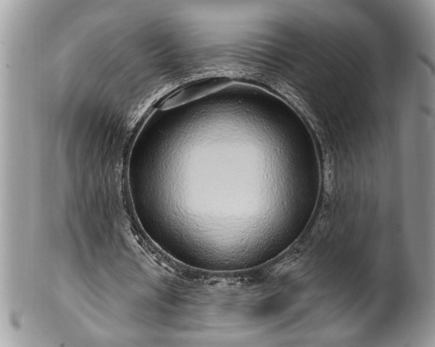 X0000100390434200806130955