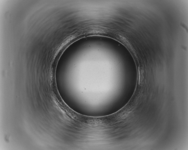 X0000100390435200806130955