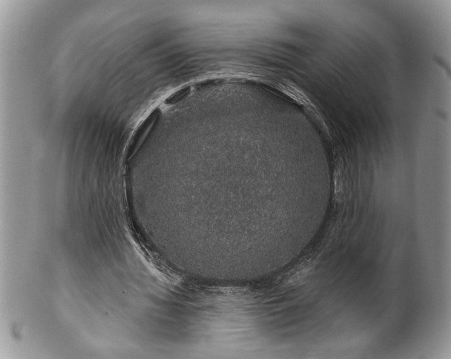 X0000100390436200806130955