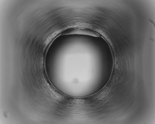 X0000100390437200806130955