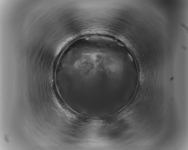 X0000100390438200806130955