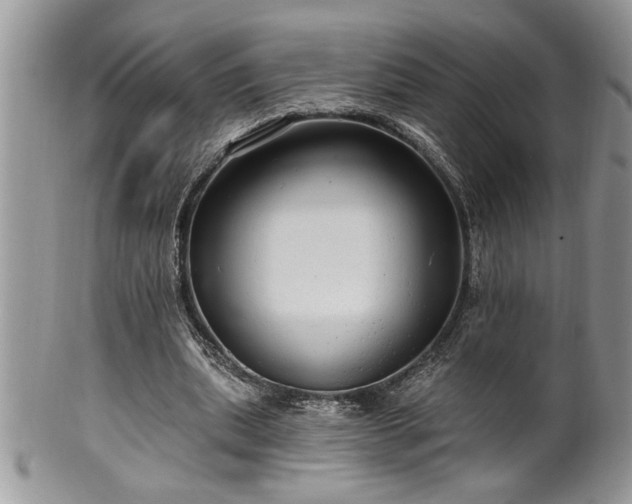 X0000100390439200806130955