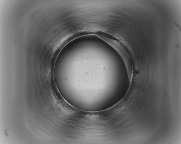 X0000100390440200806130955