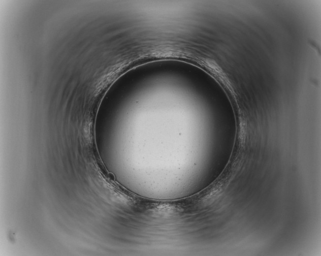 X0000100390441200806130955