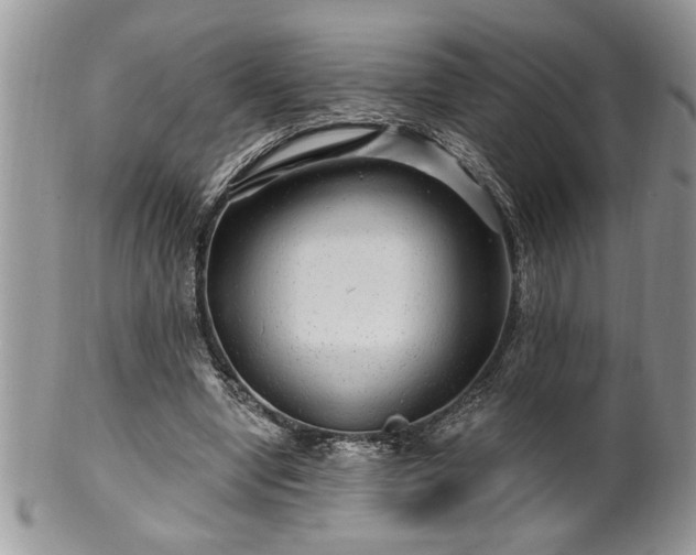 X0000100390442200806130955