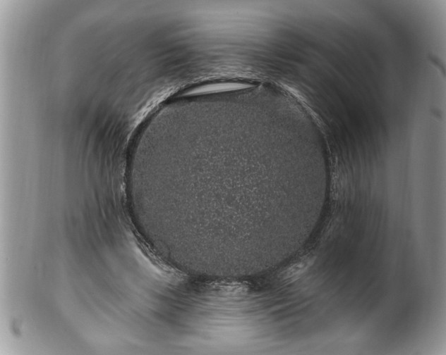 X0000100390443200806130955